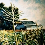 18 fruited-plain.jpg