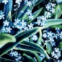 18 blue-flowers.jpg
